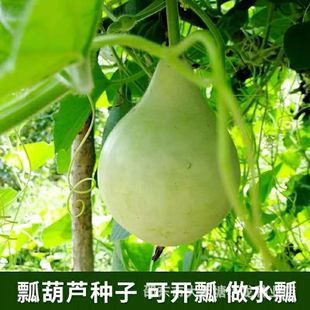 �ļ�����ư���J�N�ӿ�ʳ�ò˺��J�N�ӿ�����ˮư�ļ��@�ֺ��J�N��