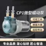 循环吸水直流有刷蠕动泵