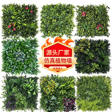 ���ڷ���ֲ��ǽ�ٻ�ǽ�������ϼ���ֲ����ǽ�̳�װ����Ҷ�쾰