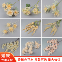 �㙉ɫϵ��c���滨��Y�þƵ��픻�·�����żٻ��b����滨��