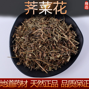 ��؛�j�˻�500�˰��] �j�� ��؛���j�� �j�˸����r��ș����؛