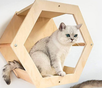 Marco de escalada de madera para gatos en la pared, trampolín para gatos montado en la pared, nido de gatos, cuerda de sisal de madera maciza integrada, lugar de decoración de la sala de estar