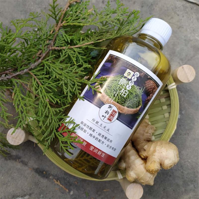 新鲜野生侧柏叶泡酒密生护发水白发酒精泡侧柏叶老生姜脂溢性头发