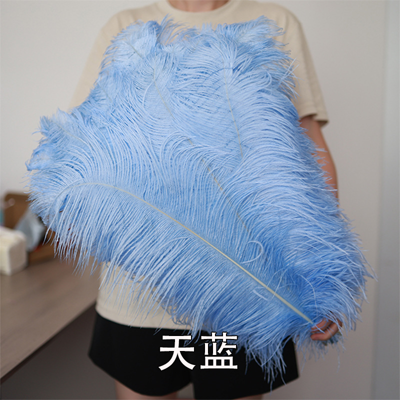 55 - 60cm plumas de avestruz de Sudáfrica al por mayor accesorios de ropa DIY accesorios materiales accesorios de diseño de boda lana de avestruz