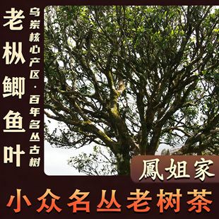 �P��Ҳ衾�Ř�� �a�~�~��ϡ�І΅��� �����Θ��� �����P�ˆΏ�