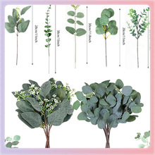 ?Rd羳컨~oyԪ֦b~ӾGֲ