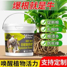 ֲ������������ֲ�������ۄ����ԾGֲ���܈@ˇͨ����ˮ�ܷ���