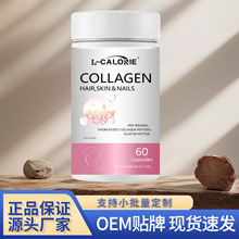 L-CALORIE-COLLAGEN42˰׷ƿzǹxԭϽƷ|