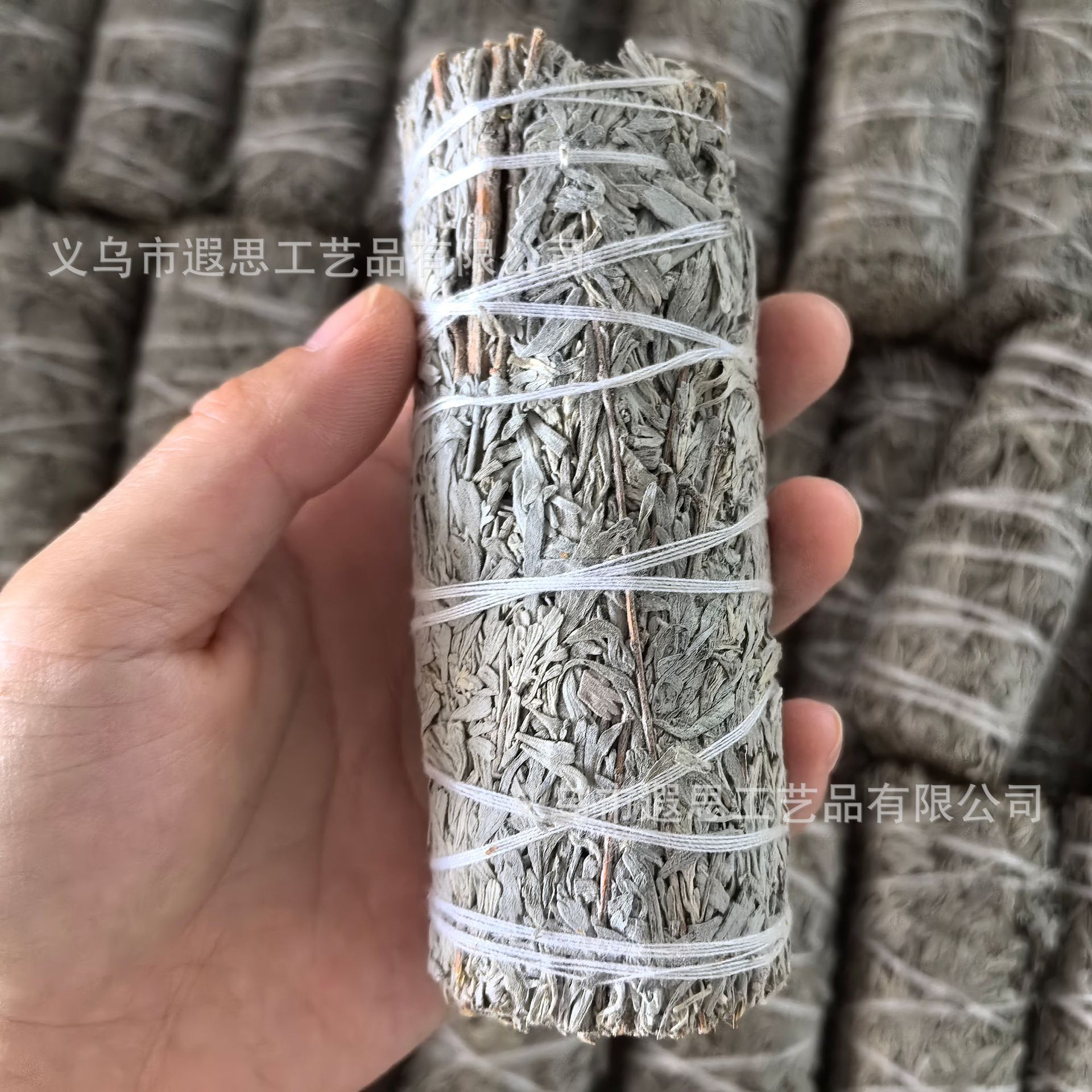 特大サイズ ブルーグラス 40-50g 特価