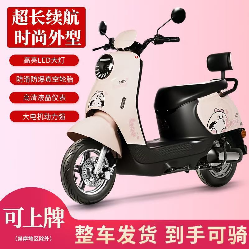 Xiao Gui Electric Scooter, High-Speed Motorcycle (Auto Parts and Accessories) - 1200w-48v23a-black-gold-lead-acid-battery