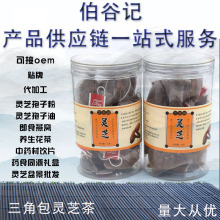 江西紫灵芝茶 袋泡茶 罐装赤灵芝茶 散装批发可一件代发保健