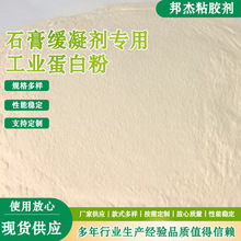 批发工业蛋白粉 石膏板涂料刷墙壁蛋白粉 供应工业水解明胶蛋白粉