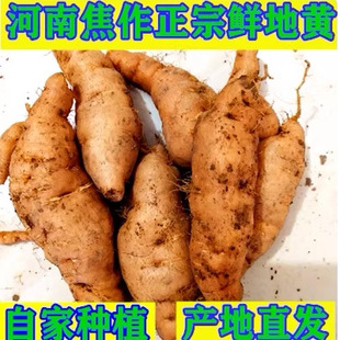 ���u�������r�����S�r���S�����خa���S�ёc���ջ�о500����