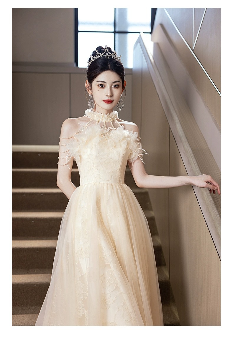 Elegant Champagne Colored Evening Gown New Style Long Dress For Women Suitable For Engagement Understated Luxury Ethereal Beauty_ecoleips.com