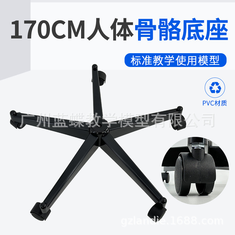 170cm��������ģ�����׵����ʵ��� ��ɫ ���ϵ�����֧�� ����