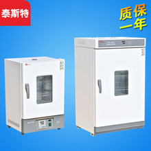 天津泰斯特 WGLL-30BE WGLL-65BE 电热鼓风干燥箱 300度烘箱