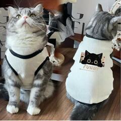 猫咪狗狗衣服春夏季宠物猫银渐层蓝猫防掉毛透气可爱清凉冰丝背心