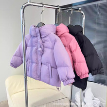 2024ﶬ¿ŮͯbqqСBñ̿n