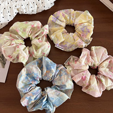 �͹������ͮ��з������c�lȦŮ������|���Rβ�����^Ƥ��l�K�l�