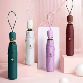 晴雨伞;遮阳/太阳伞;雨伞