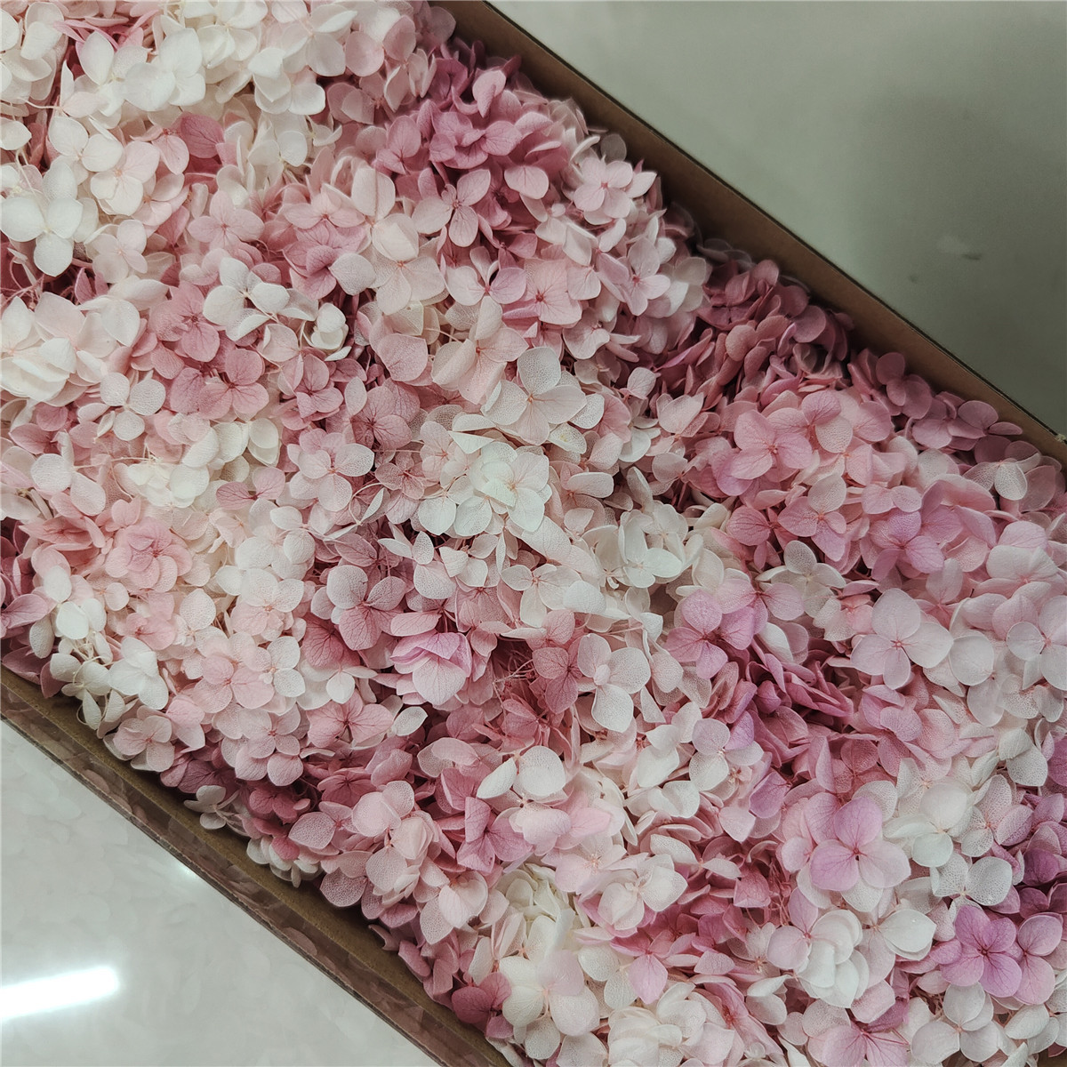 Flor eterna Hortensia Anna pequeña hoja flor seca flor real árbol de Navidad ventilador hecho a mano ramo DIY material paquete flor