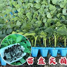 �S���玧��ˮ���S�������ļ������S�������ļ��߲����̨���ԷN��