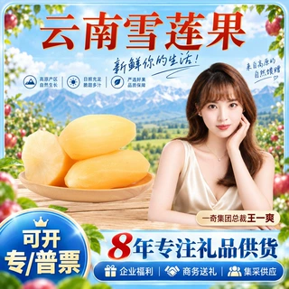 【严选】云南雪莲果 一件代发3/5/9斤大果单果250g起根菜新鲜水果