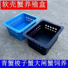 软壳蟹养殖盒室内立体化循环水青蟹梭子蟹大闸蟹海鲜多层养殖箱