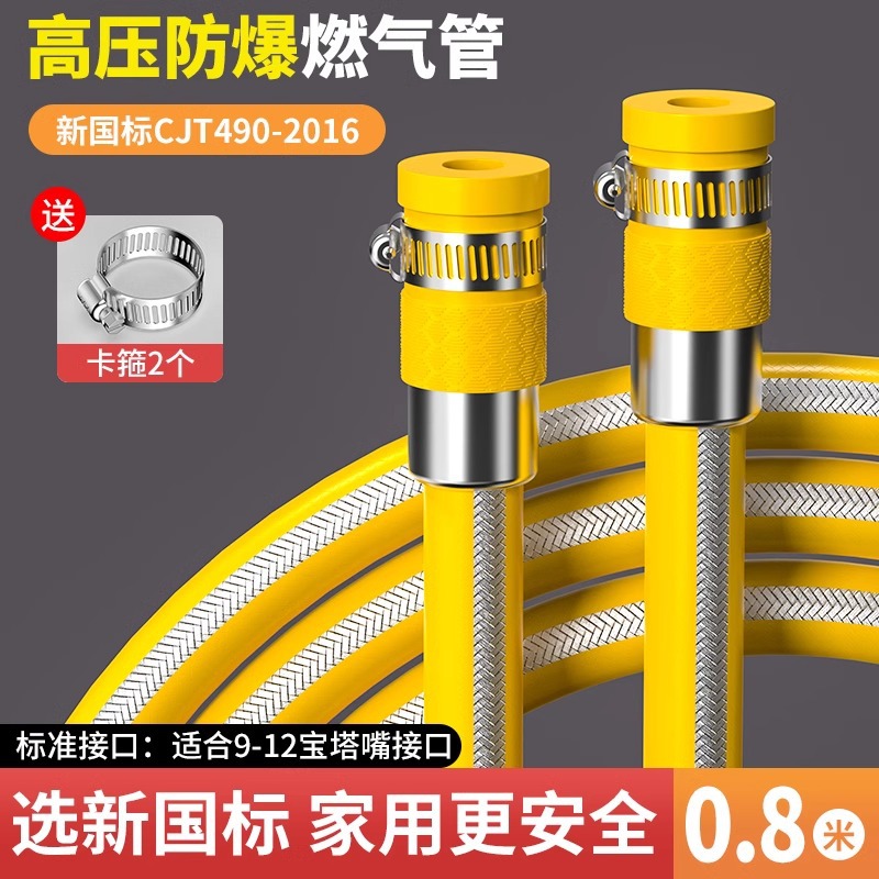 Gas pipe hose gas pipe high pressure explosion-proof natural gas liquefied gas pipe gas stove gas tank metal connection
