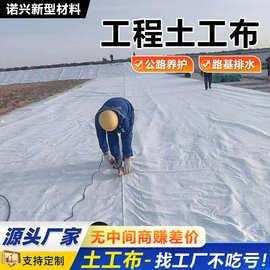 工程土工布白色公路养护防渗水无纺布河道护坡聚酯纤维短丝土工布