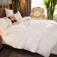 加厚冬被批发春秋被芯丝棉被褥太空被宾馆酒店被学生被子礼品被