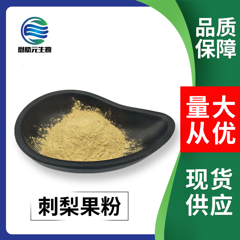 刺梨果粉99% 刺梨提取物 水溶刺梨果粉 现货 1Kg起批 量大从优