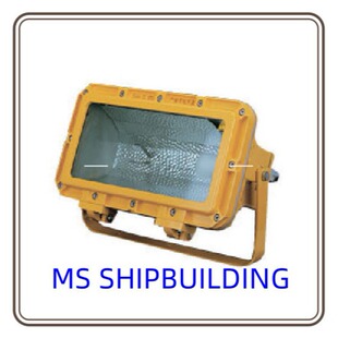 CFT2 Explosion Proof Flood Light Outdoor