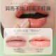[delivery Within 48 Hours] Nicor Fruit Lip Balm Moisturizing Lip Balm Vaseline Light Lip Lines Anti-drying