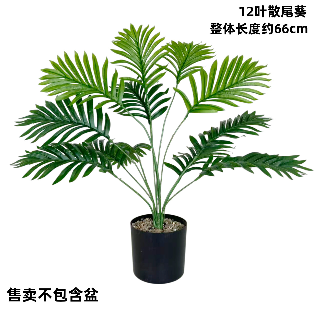 12葉のサンウェイクイ