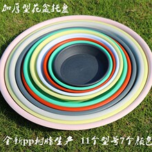 �¿��ɫ�����бP�Ӻ��֬���н�ˮ�P��|��̖�бP��ɫ�бP