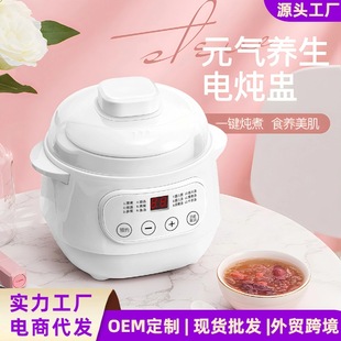 Electric Stew Pot Soup Pot Water-Proof Stew 1 to 2 People Baby Porridge Bird's Nest Electric Stew Pot Ceramic Health Pot Factory Household