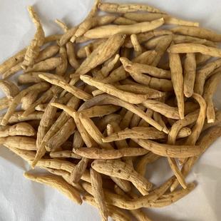 ���l��ș��̫�Ӆ� �F��̫�Ӆ� ���w��̫�Ӆ�    ����ă�