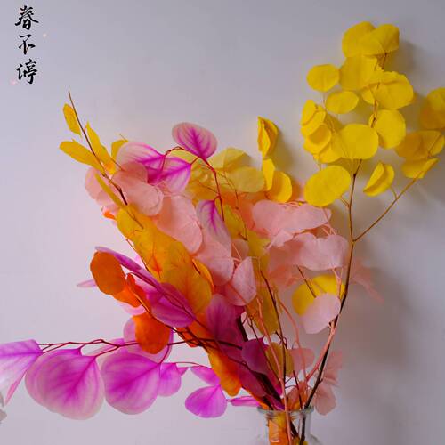 Preserved flower apple leaf manufacturer wholesale apple leaf round leaf eucalyptus preserved flower dried flower bouquet home decoration