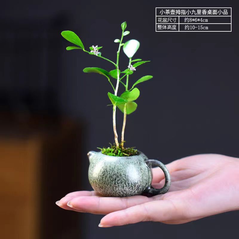 微信图片_20240526161736