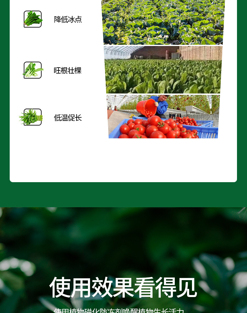 植物磁化防冻剂_10.jpg