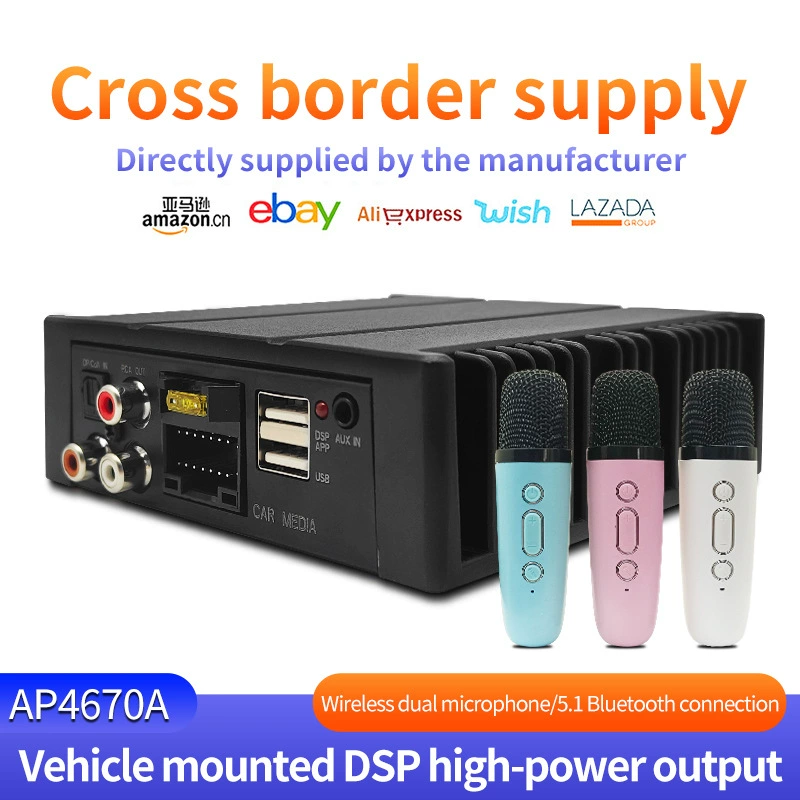 GM DSP рейд автомобильный беспроводной микрофон 12V/24V усилитель двойной микрофон KSong KTV
