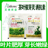 Tea Foliar Green leaf Primed Blade Hypertrophy Primed Antifreeze Disease prevention