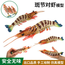 ���溣�r���rģ�Ͱ߹����r������z�������r�[��������ͯ�Y��