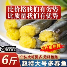 多春鱼满籽新鲜人吃籽鱼超特大冷冻鱼籽海鲜水产烧烤食材商用包邮