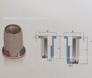 ƽͷ������ñԲ��ѹí��ĸ 304�����̼��ƽͷ���������í��ĸ