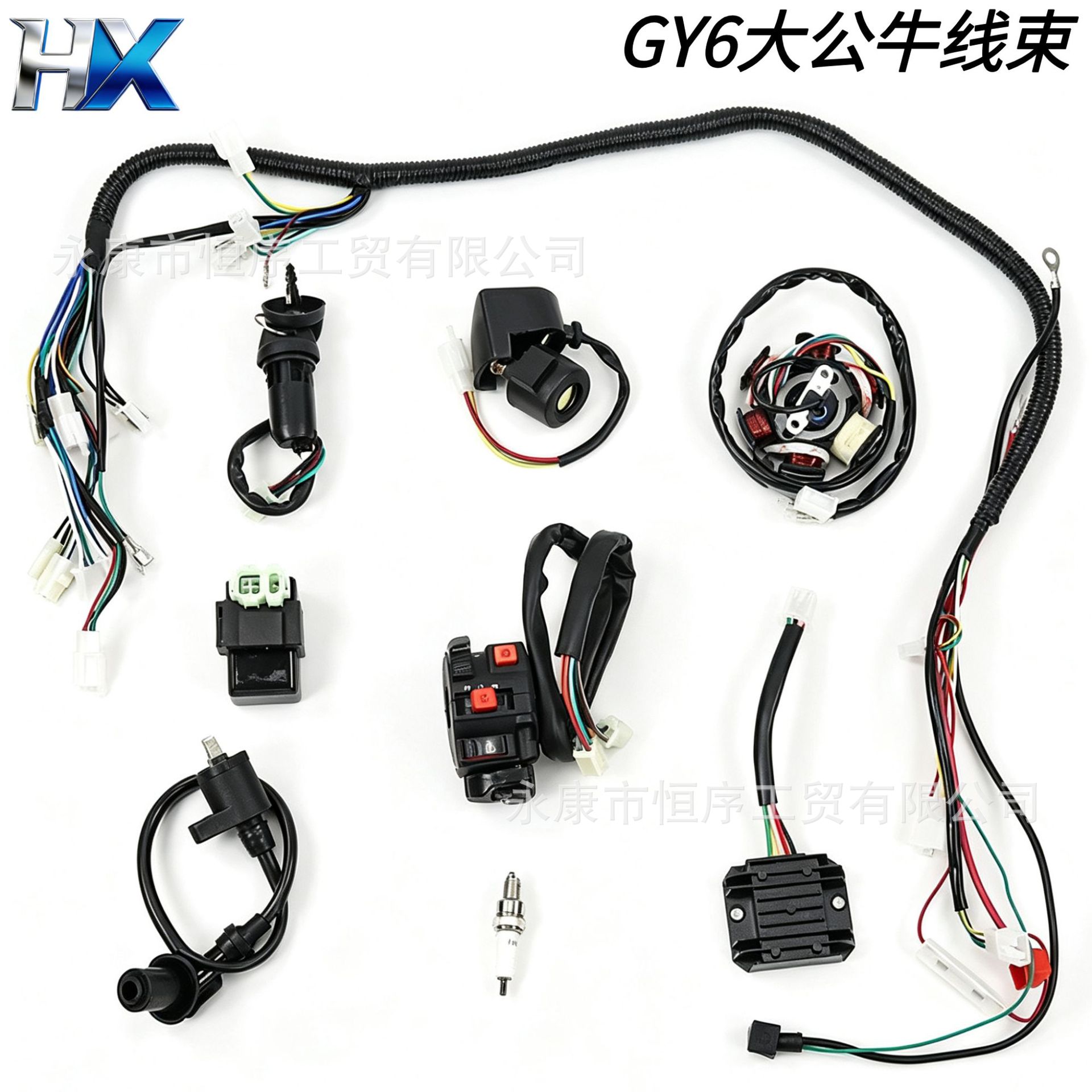 ATV, beach bike, off-road vehicle, Big Bull 125-150cc, Dinosaur GY6 ignition start complete wiring harness assembly