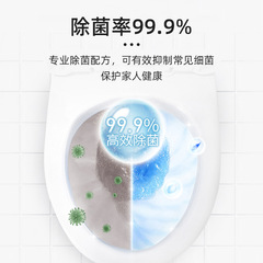 Floral Toilet Cleaning Liquid Foam Toilet Cleaner Toilet Cleaning Toilet Cleaning Toilet Deodorizing Fragrance Toilet Cleaning Spirit