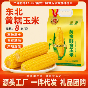 �|���SŴ����10֧�Y���b��Ŵ����������װ�������հ��b���Sֱ�l