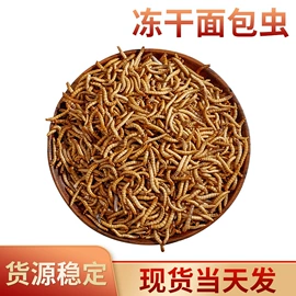 观赏鱼饲料;猫猫零食;仓鼠零食